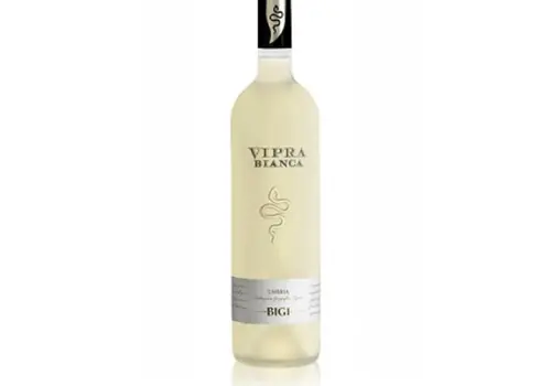 Vipra Bianca Umbra